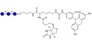 Isomaltotriose DP3 linked to biotin and fluorescein (Linker-BT-FLUO A)