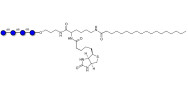Isomaltotetraose DP4 linked to biotin and stearic chain (Linker-BT-STEA A)