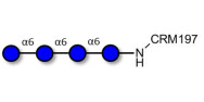 Isomaltotetraose DP4 grafted on CRM197