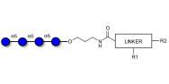 Isomaltotetraose DP4 with customizable dual functionalization 