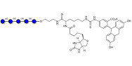 Isomaltopentaose DP5 linked to biotin and fluorescein (Linker-BT-FLUO A)