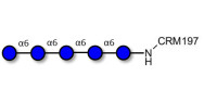 Isomaltopentaose DP5 grafted on CRM197