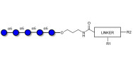 Isomaltopentaose DP5 with customizable dual functionalization 