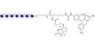 Isomaltoheptaose DP7 linked to biotin and fluorescein (Linker-BT-FLUO A)