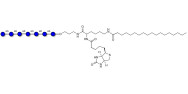 Isomaltoheptaose DP7 linked to biotin and stearic chain (Linker-BT-STEA A)