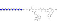 Isomaltooctaose DP8 linked to biotin and fluorescein (Linker-BT-FLUO A)