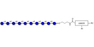 Isomaltodecaose DP10 with customizable dual functionalization 