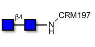 Chitinbiose DP2 grafted on CRM197