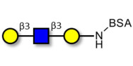 Core type 1 triose grafted on BSA