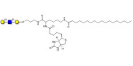 Core type 1 triose linked to biotin and stearic chain (Linker-BT-STEA A)