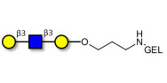 Core type 1 triose grafted on gel for affinity chromatography (Linker-GEL B)
