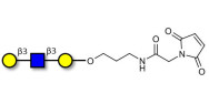 Core type 1 triose linked to maleimide (Linker-MAL A)