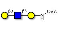Core type 1 triose grafted on OVA