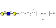 Core type 1 triose with customizable dual functionalization 