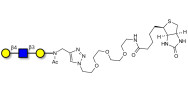 Core type 2 triose linked to biotin (Linker-BT A)