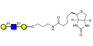 Core type 2 triose linked to biotin (Linker-BT B)