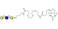 Core type 2 triose linked to biotin (Linker-BT C)
