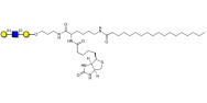 Core type 2 triose linked to biotin and stearic chain (Linker-BT-STEA A)