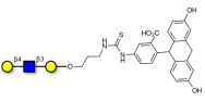 Core type 2 triose linked to fluorescein (Linker-FLUO A)