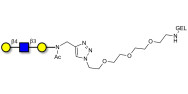 Core type 2 triose grafted on gel for affinity chromatography (Linker-GEL A)