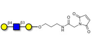 Core type 2 triose linked to maleimide (Linker-MAL A)