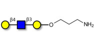 Core type 2 triose with free terminal amine (Linker-NH2 A)