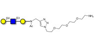 Core type 2 triose with free terminal amine (Linker-NH2 B)