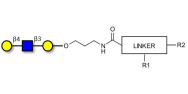 Core type 2 triose with customizable dual functionalization 