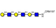Tri-N-Acetyl-D-Lactosamine grafted on CRM197