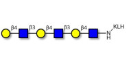 Tri-N-Acetyl-D-Lactosamine grafted on KLH