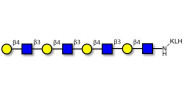Tetra-N-Acetyl-D-Lactosamine grafted on KLH