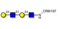 Di-N-Acetyl-D-Lactosamine grafted on CRM197