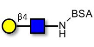 N-Acetyl-D-Lactosamine (LacNAc) grafted on BSA