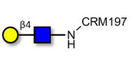 N-Acetyl-D-Lactosamine (LacNAc) grafted on CRM197