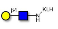 N-Acetyl-D-Lactosamine (LacNAc) grafted on KLH