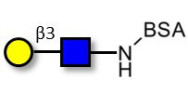 Lacto-N-Biose grafted on BSA
