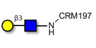 Lacto-N-Biose grafted on CRM197