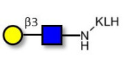 Lacto-N-Biose grafted on KLH
