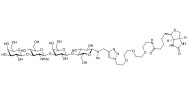 Lacto-N-tetraose (LNT) linked to biotin (Linker-BT A)