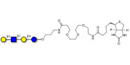 Lacto-N-tetraose (LNT) linked to biotin (Linker-BT C)