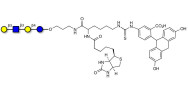 Lacto-N-tetraose (LNT) linked to biotin and fluorescein (Linker-BT-FLUO A)