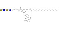 Lacto-N-tetraose (LNT) linked to biotin and stearic chain (Linker-BT-STEA A)