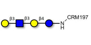 Lacto-N-tetraose (LNT) grafted on CRM197