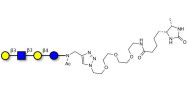 Lacto-N-tetraose (LNT) linked to desthiobiotin (Linker-DBT-A)