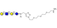 Lacto-N-tetraose (LNT) grafted on gel for affinity chromatography (Linker-GEL A)