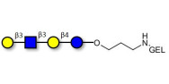 Lacto-N-tetraose (LNT) grafted on gel for affinity chromatography (Linker-GEL B)