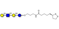 Lacto-N-tetraose (LNT) with cyclic di-thiol (Linker-LIPO A)