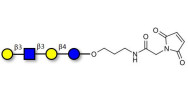Lacto-N-tetraose (LNT) linked to maleimide (Linker-MAL A)