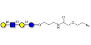 Lacto-N-tetraose (LNT) with terminal azide (Linker-N3 B)