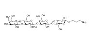 Lacto-N-tetraose (LNT) with free terminal amine (Linker-NH2 A)